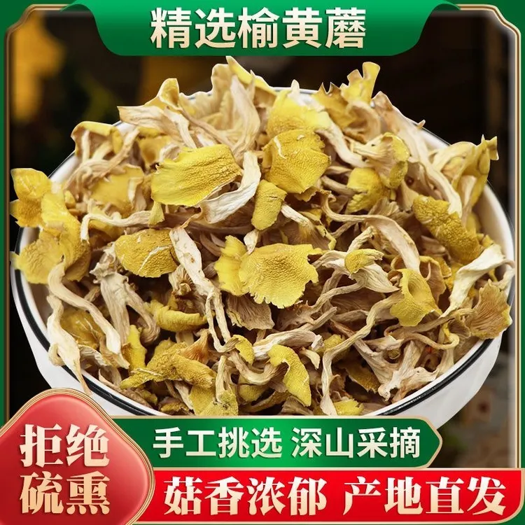 【好物优选】榆黄蘑 特产干货 菌香浓郁 营养美味 鲜嫩多汁凡盈