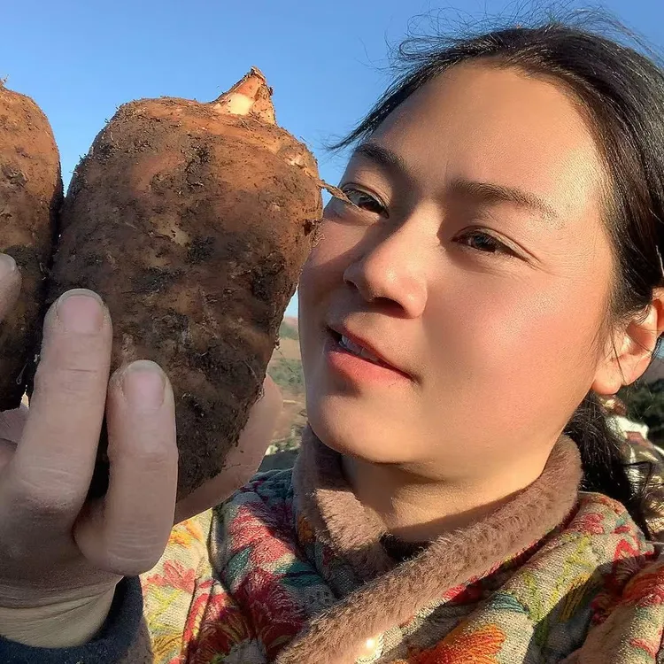 （婷婷专属）云南昭通小草坝天麻产地直发