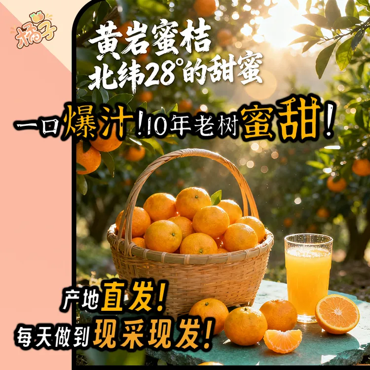【黄岩蜜桔】当季高山大丰现摘新鲜水果浙江涌泉超大橘子产地直发
