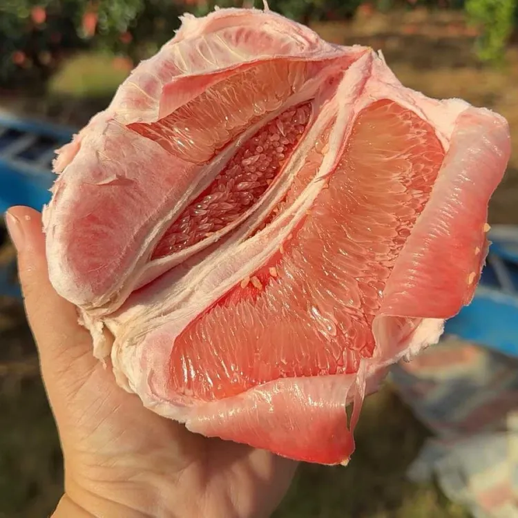 梅州皮薄红心柚子三红蜜柚现摘现发清甜多汁当季新鲜水果