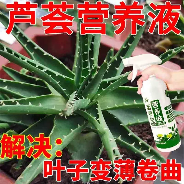 芦荟营养液增肥绿叶壮根室内外家用绿植盆栽肥料液体肥有机缓释肥