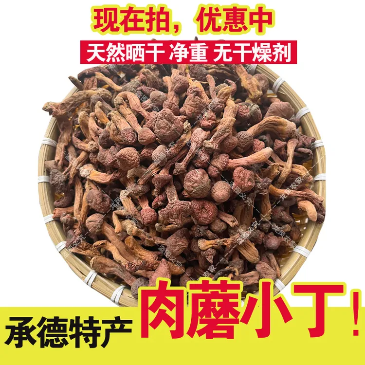 肉蘑承德特产肉蘑菇野生红蘑丁松树伞切片野生菌干货无干燥剂