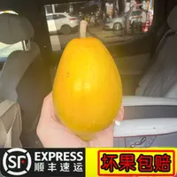 海南鸡蛋果应季新鲜沙糯口感很甜放软再吃