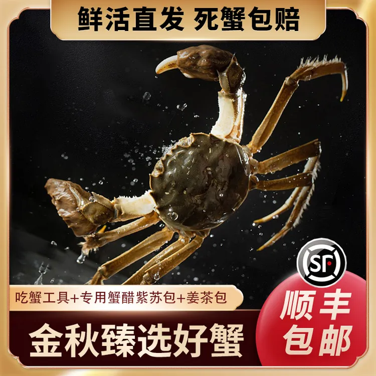 【精品大公蟹】江苏大闸蟹公蟹4.3-4.6两公6/8只礼盒蟹顺丰包邮