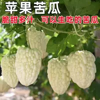 【全店满5元包邮】苹果苦瓜种子长绿苦瓜赖葡萄种籽高产水果