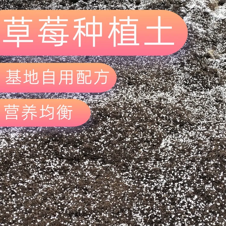 基地配方 草莓种植土营养土草莓基质分装
