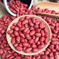 花生米四粒红去壳红皮生花生米可炒炸食用