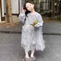 2025秋”风寄云来"女童长袖卫衣网纱连衣裙ZM25207