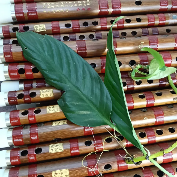 想吹出悠扬旋律竹笛，却不知道咋入手，这款神器帮你搞定！