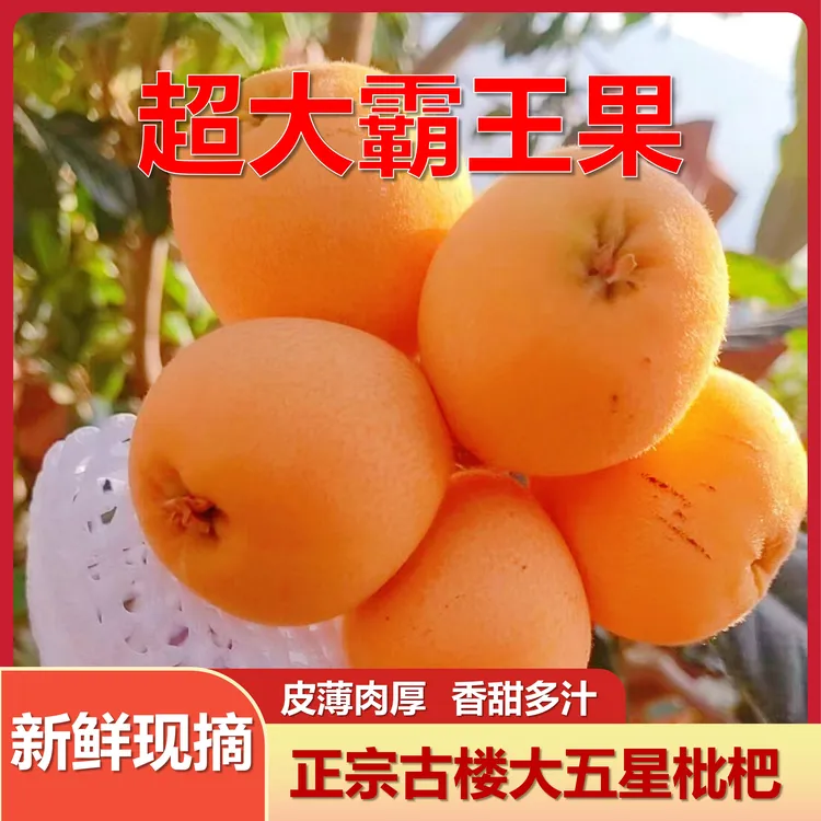 京东包邮重庆古楼大五星枇杷皮薄肉厚汁多果园现摘新鲜超大霸王果