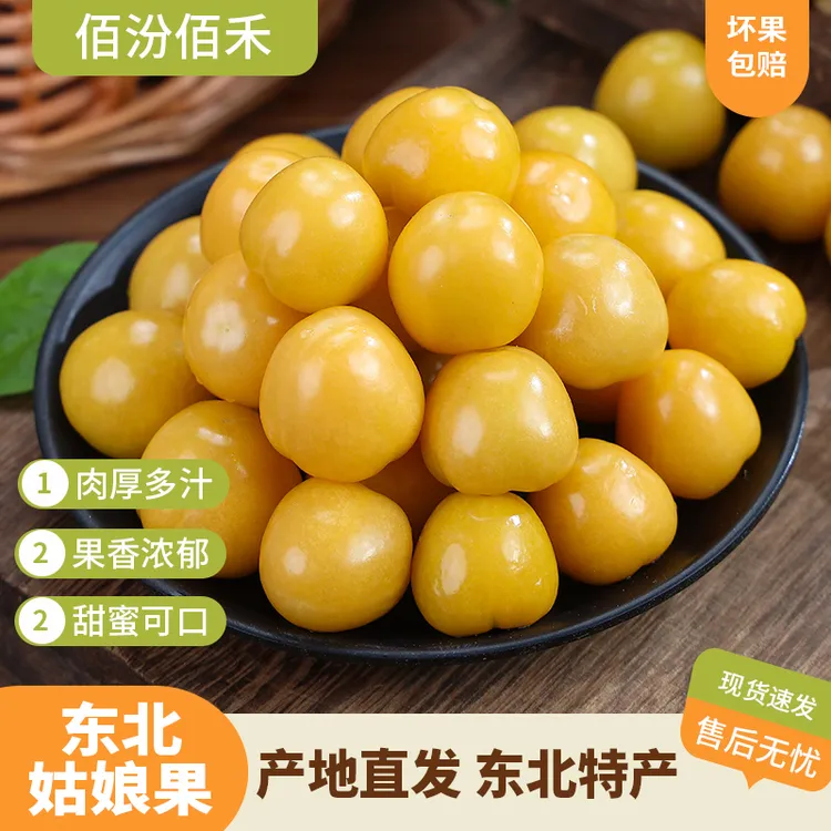 【佰纷佰禾】东北姑娘果灯笼果肉厚饱满香甜多汁新鲜特产水果
