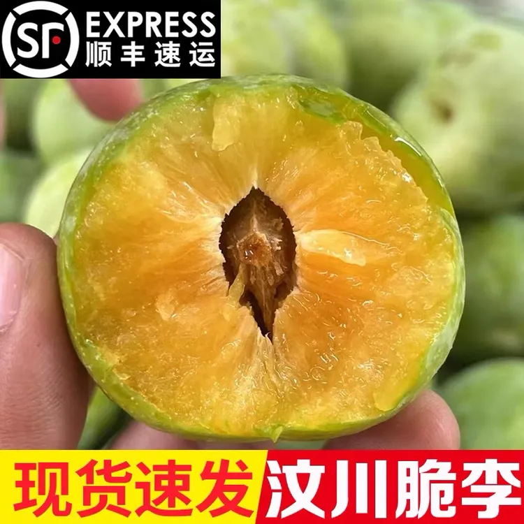 正宗汶川茂县青脆脱骨李青脆李四川李四川半边红脱骨李子