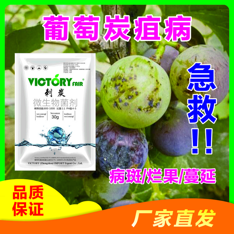 正品刺炭炭疽病微生物菌剂葡萄炭疽霜霉无抗性持久灰霉一袋一壶水