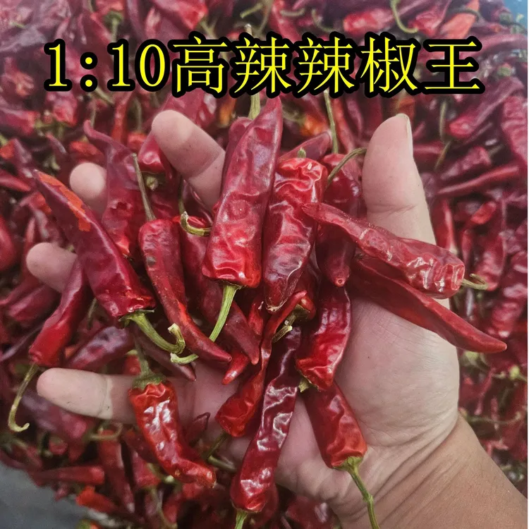 铭味源1:10特辣福建辣椒王 香辣型鸭货卤味古田辣椒王5斤箱装