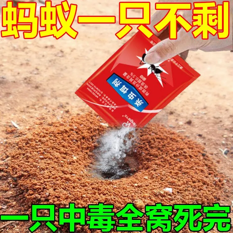 【专杀蚂蚁】灭蚂蚁药家用—窝端无毒菜地野外驱蚂蚁灭蚁养殖场强效