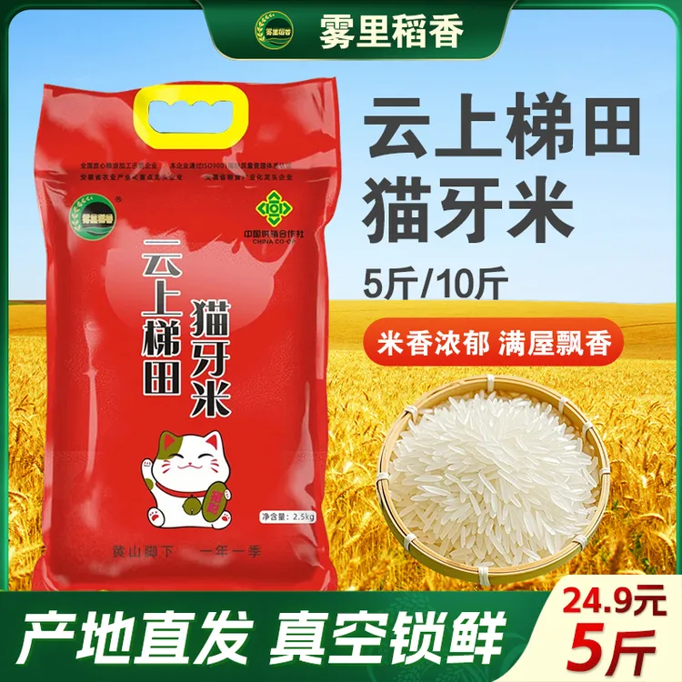 雾里稻香长粒猫牙米5斤/10斤农家新大米现磨现发真空包装工厂直发