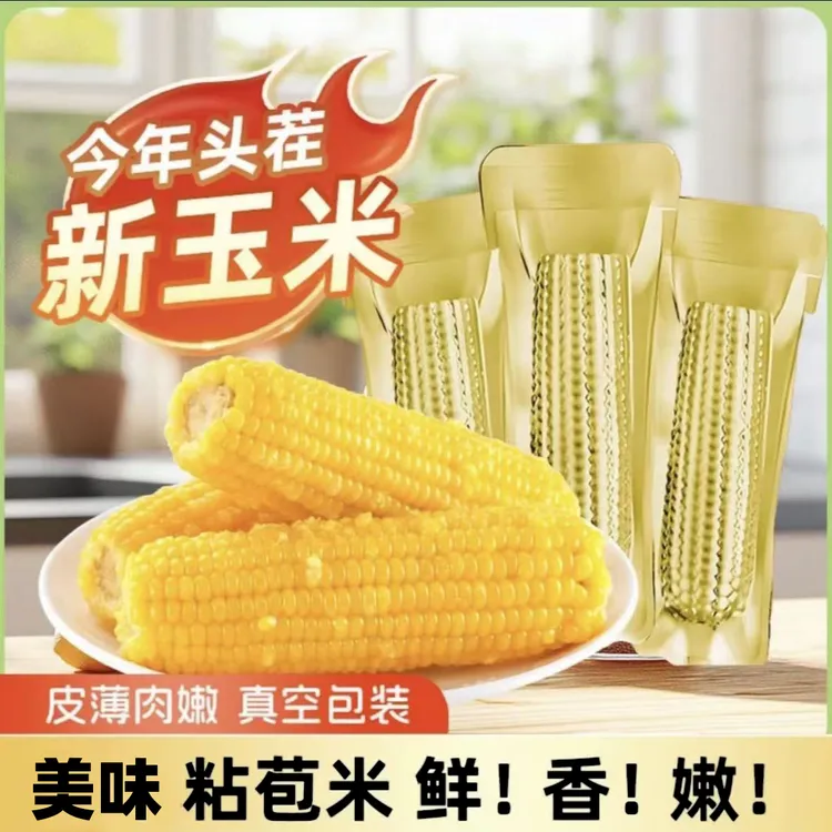 【10只 整箱净重6-6.5斤】25年鲜采铝箔黄糯玉米 轻食代餐黏糯玉米