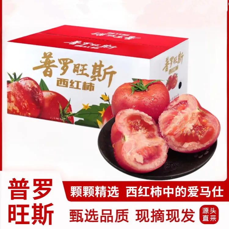 宁夏露天普罗旺斯沙瓤水果西红柿自然成熟可生吃新鲜蔬菜现摘现发