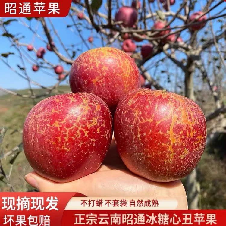 正宗云南昭通冰糖心丑苹果新鲜孕妇水果脆甜维生素C水果