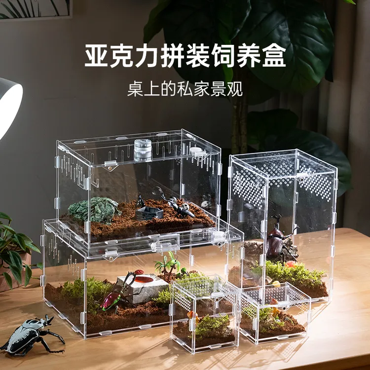 宠物白玉蜗牛专用饲养盒套装亚克力大号学生养殖观赏盒猫粮