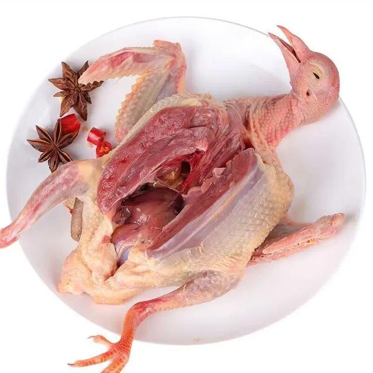 现杀生鲜肉鸽可炖汤