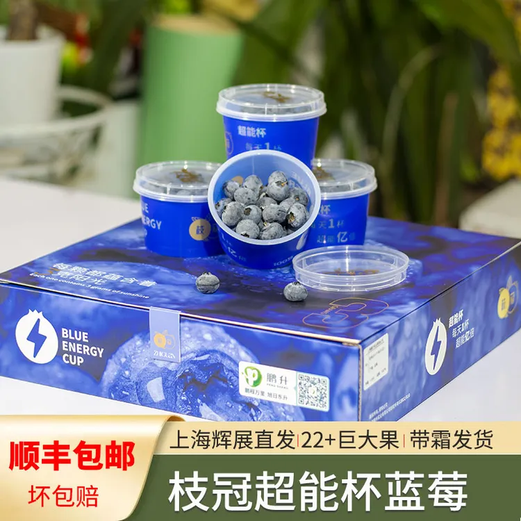 甄选产地新鲜采摘枝冠蓝莓超能杯18mm+礼盒原装鲜果多汁好吃爽口