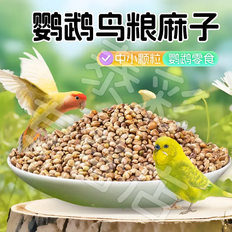 【宠大条】新火麻仁鹦鹉鸟粮纸壳火麻子鸟类粮饲料奖励零食鸟食