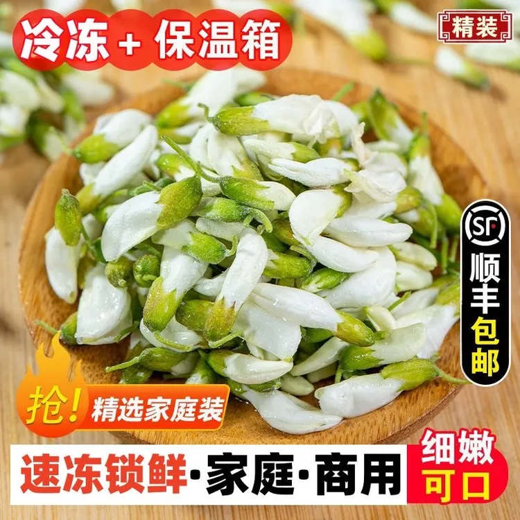 甘肃礼县山地半开状新鲜洋槐花