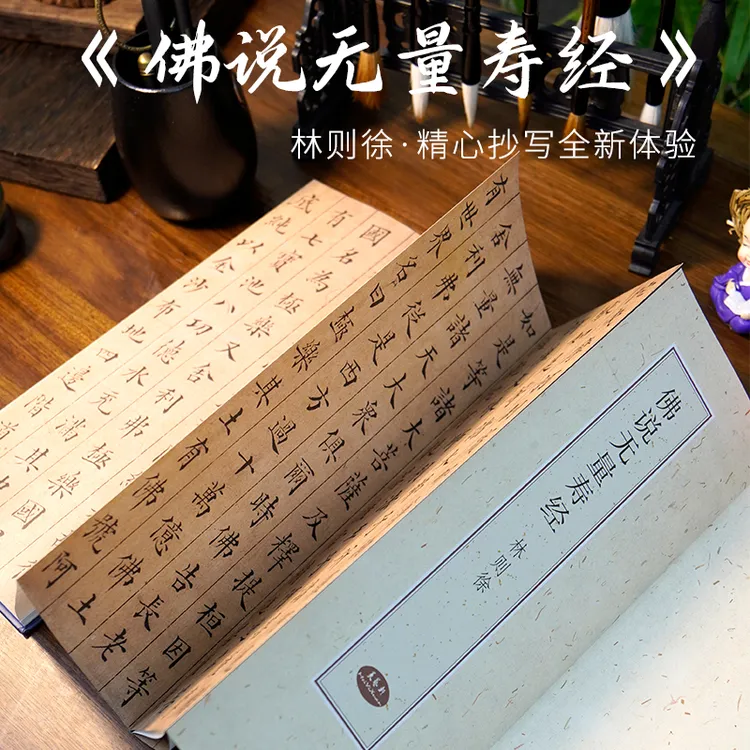 【高清原帖】林则徐无量寿经 清代楷书名品 临摹字帖 毛笔练字