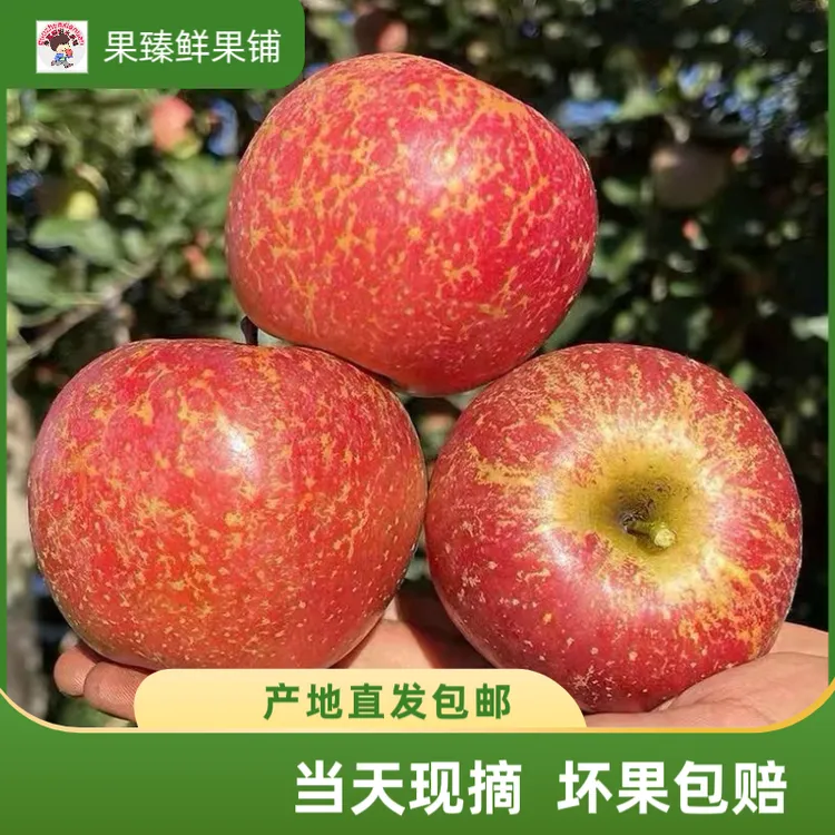 云南正宗冰糖心丑苹果头茬丑苹果脆甜多汁冰糖心新鲜水果