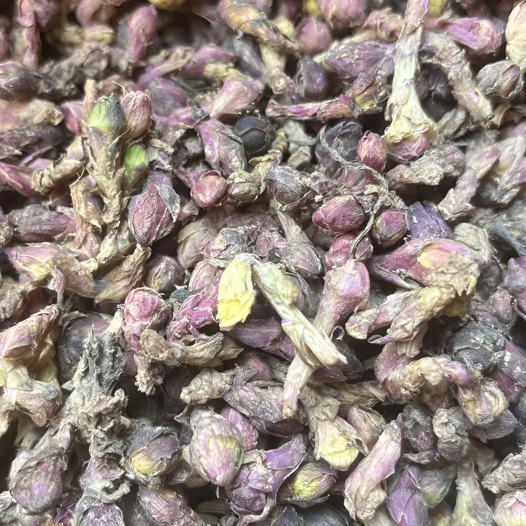 甘肃款冬花 大山里 干货 款冬花 产地直发 