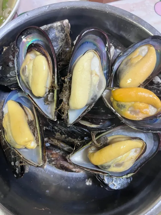 连云港顺丰发货，鲜活肥美 大个头海虹3斤～10斤