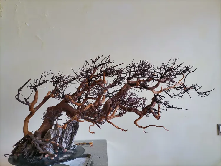 06莫斯树骨架，鱼缸造景，生命之树，盆景式，自然式，尺寸85X38X40