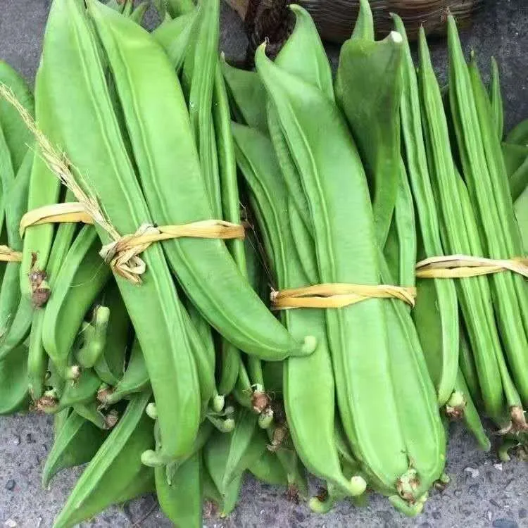 江西刀豆新鲜现摘刀豆农家自种刀豆刀把大刀豆嫩刀豆腌制包邮