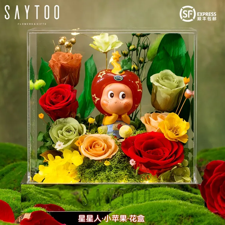 星韬Twinkle星星人永生花礼盒真花束圣诞节情人节生日礼物送女生