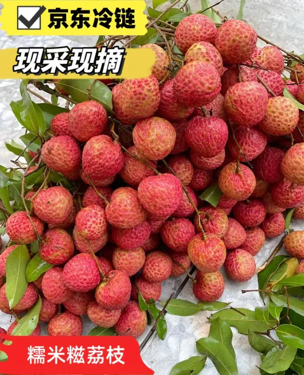 糯米糍荔枝京东冷链现货新鲜采摘广东茂名高州果园荔枝应季水果