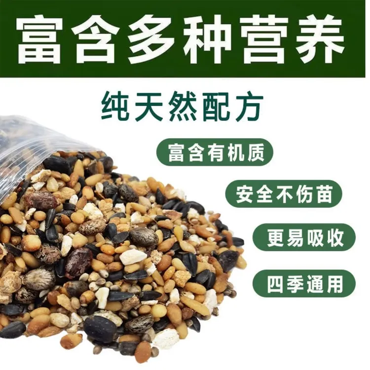 君子兰专用有机混合固体肥用于君子兰换土腰肥底肥催花艳丽叶片厚