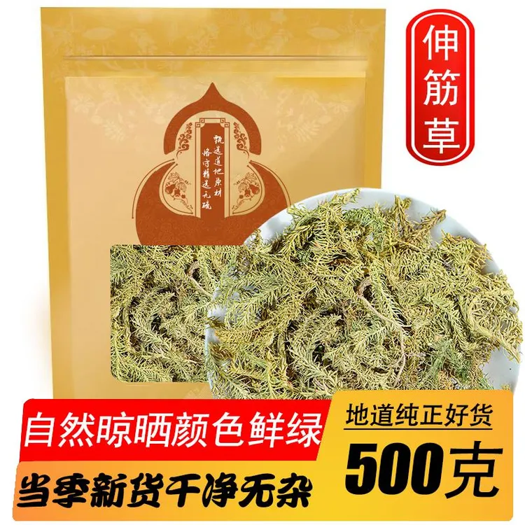 伸筋草新货狮子草搭海风藤舒筋草石松泡水泡酒