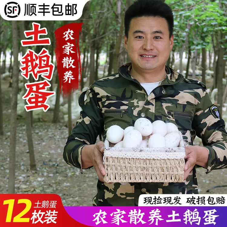 晴果乐现捡新鲜笨鹅蛋孕妇农家散养土鹅蛋正宗特产现捡大个生鹅蛋