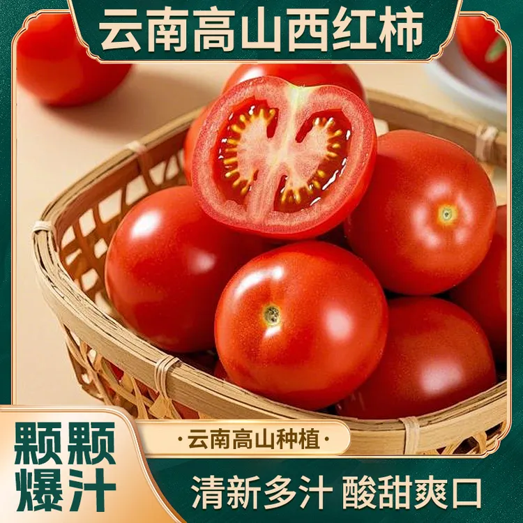 云南高山露天沙瓤西红柿炒蛋沙拉新鲜水果大番茄自然熟柿子现摘