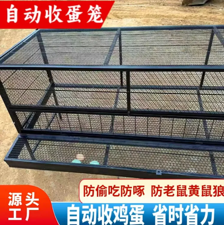 下蛋母鸡笼滚蛋视频鸡笼啄蛋笼户外防护笼鸡笼子老鼠鸡舍家用鸡棚