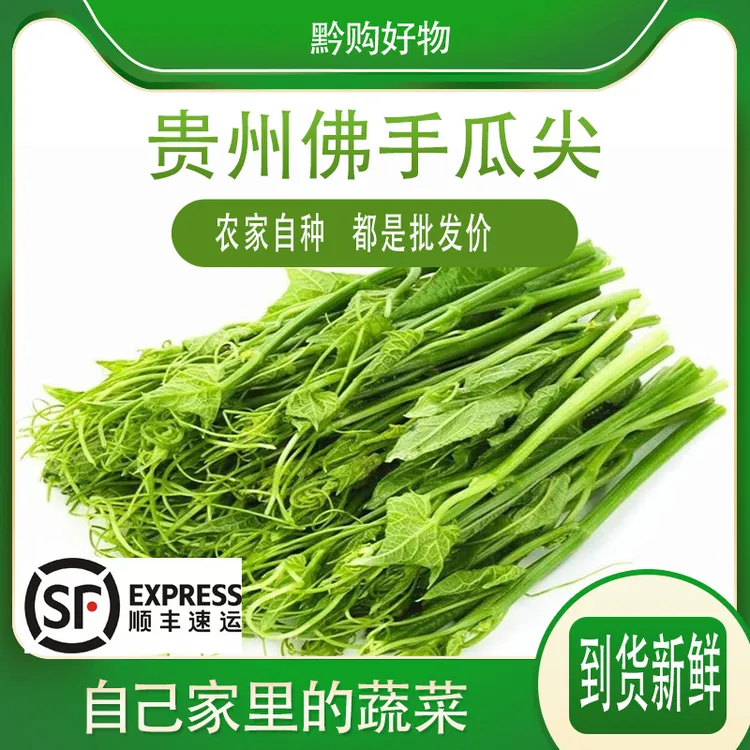 送货上门生鲜专线自家载种产地直销当季蔬菜佛手瓜尖龙须菜