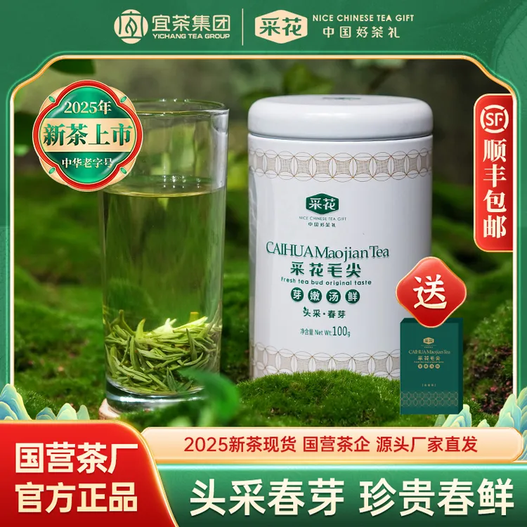 采花【2025新茶现货】采花毛尖头采春芽绿茶100g罐装春茶高山茶