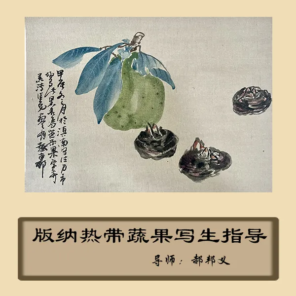版纳热带蔬果写生线上视频课