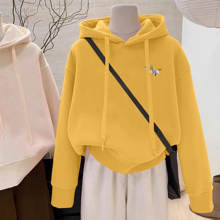 设计感小众秋冬新款2025加绒加厚套头连帽卫衣女网红新款衣服女