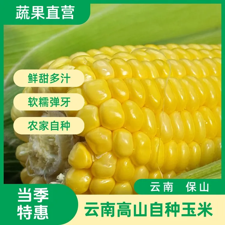 云南高山新鲜水果玉米超甜爆浆可生吃适合做早餐精品蔬菜