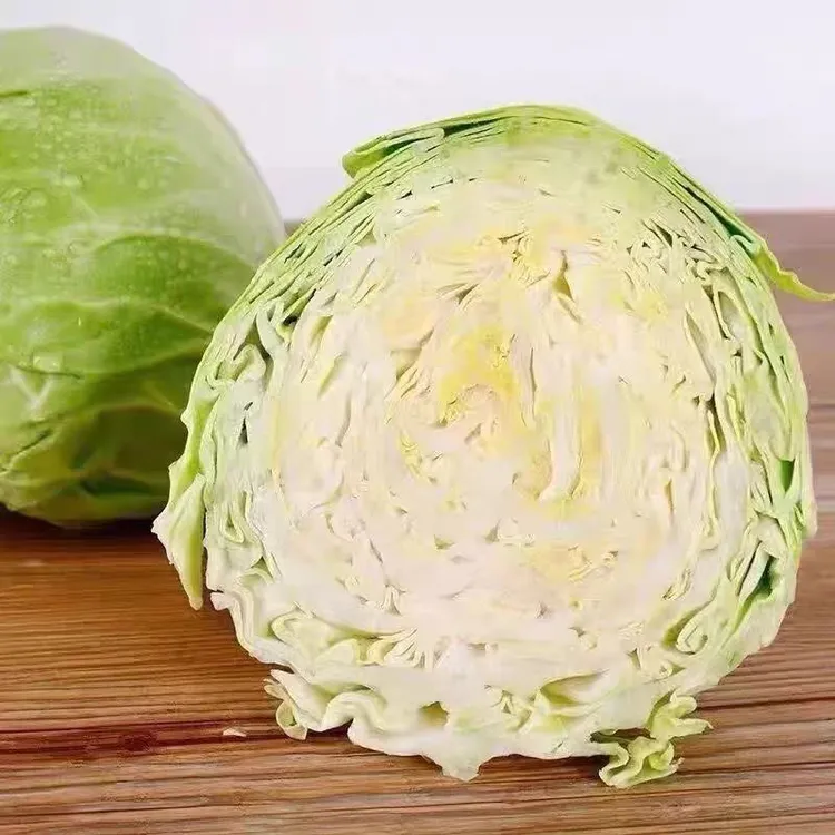 露天种植清甜鲜嫩铁头包菜甘蓝新鲜现砍蔬菜