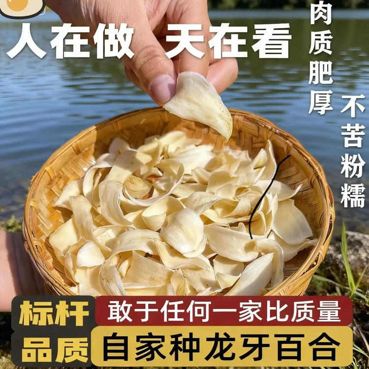 【精品二级】隆回龙牙百合干特大片天然干货无硫产地直发