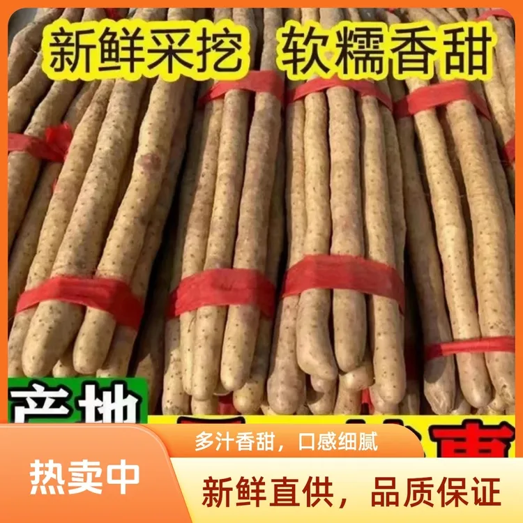 正宗蠡县铁棍麻山药40～60cm5斤新鲜高品质营养产地优质