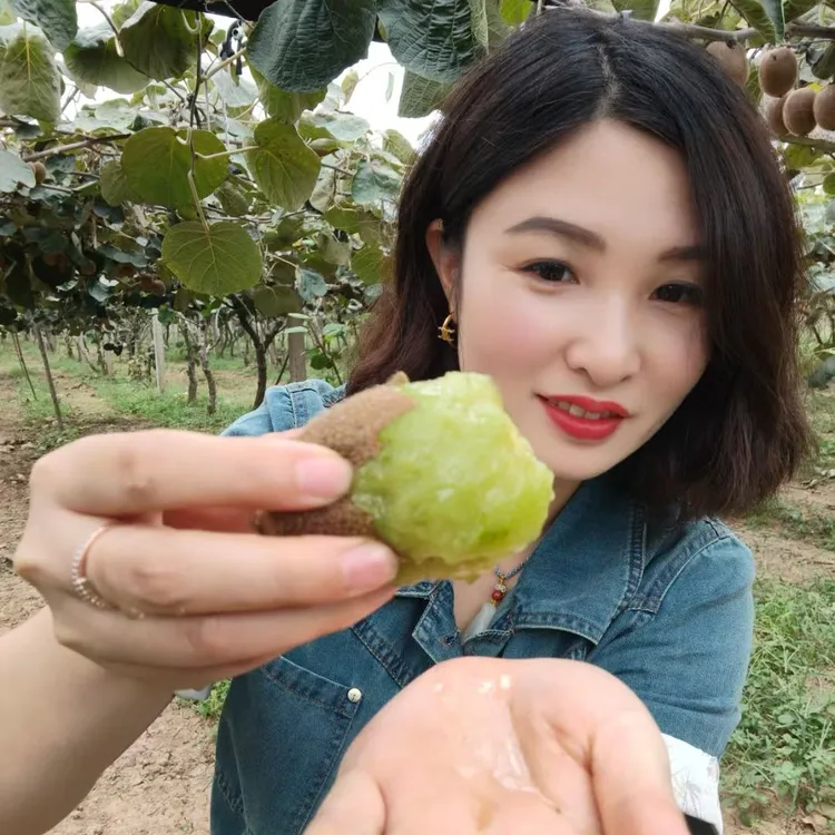 陕西眉县徐香绿心猕猴桃徐香猕猴桃当季新鲜水果香甜多汁维C丰富